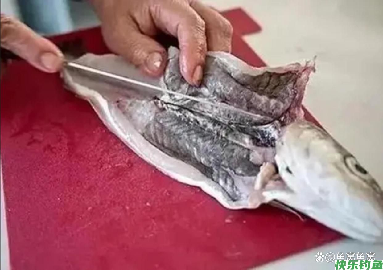 湖北名鱼武昌鱼，曾经一鱼难求，如今却被江苏省变成了家常菜(图16)