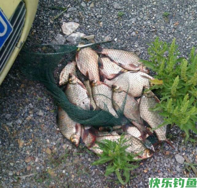 如何垂钓武昌鱼？从五个方面说说我的经验(图5)