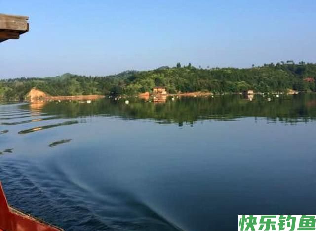 肉质细嫩鲜美的鱼中上品鳊鱼，该如何垂钓？(图5)