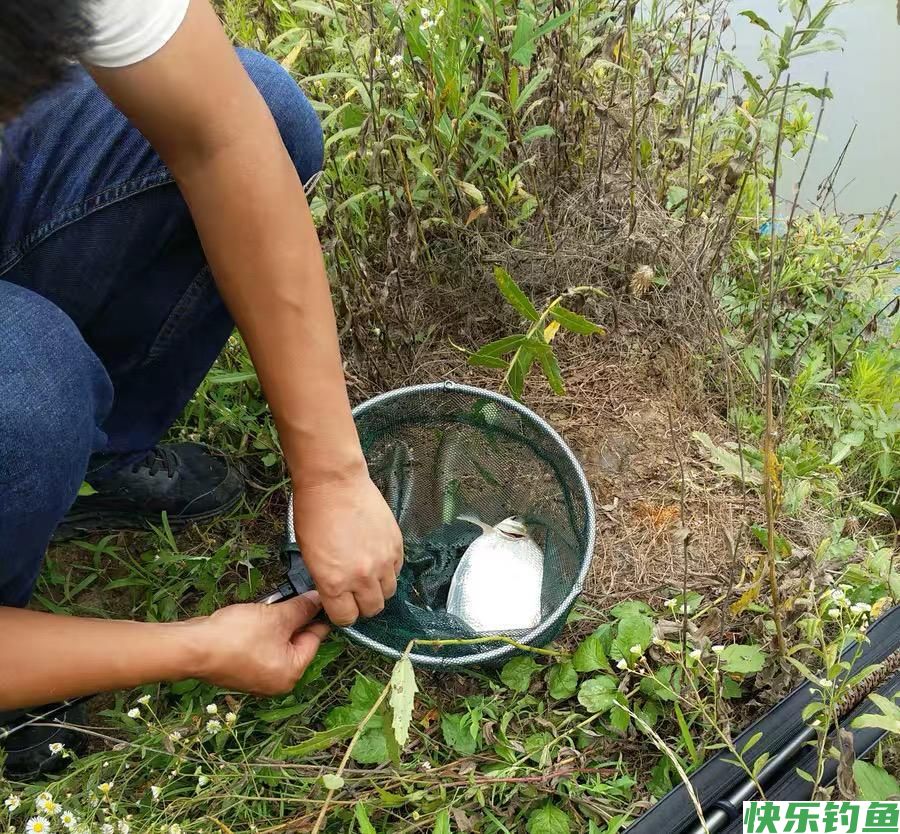 夏季钓鳊鱼和翘嘴鱼饵料中加小药到底有没有用？实测后涨见识了(图6)