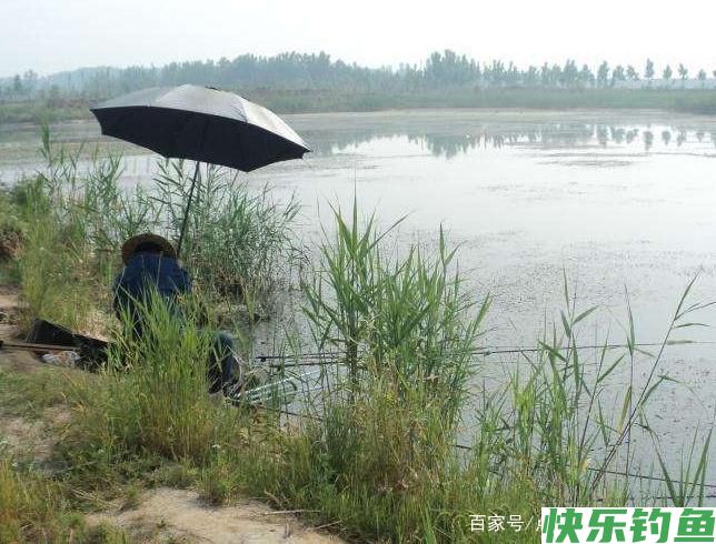 教你一些钓鳊鱼的技巧,不了解的进来看看吧,一起学习学习(图3) 教你一些钓鳊鱼的技巧,不了解的进来看看吧,一起学习学习(图3)
