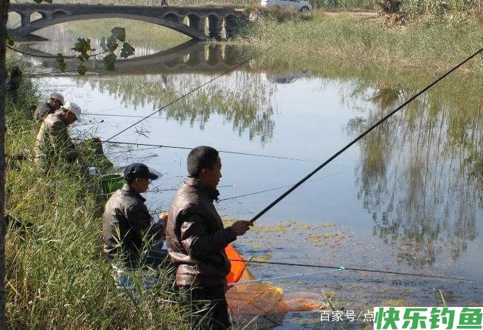 教你一些钓鳊鱼的技巧,不了解的进来看看吧,一起学习学习(图4) 教你一些钓鳊鱼的技巧,不了解的进来看看吧,一起学习学习(图4)