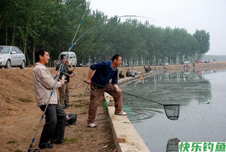 如何在夏季更好的钓到鳊鱼到爆护，看看这几个钓鱼技巧吧(图3)