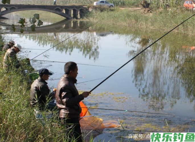 关于钓鳊鱼的技巧,不了解的可以进来看看,真的很实用!(图4) 关于钓鳊鱼的技巧,不了解的可以进来看看,真的很实用!(图4)