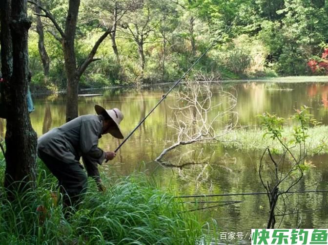 关于钓鳊鱼的技巧,不了解的可以进来看看,真的很实用!(图5) 关于钓鳊鱼的技巧,不了解的可以进来看看,真的很实用!(图5)