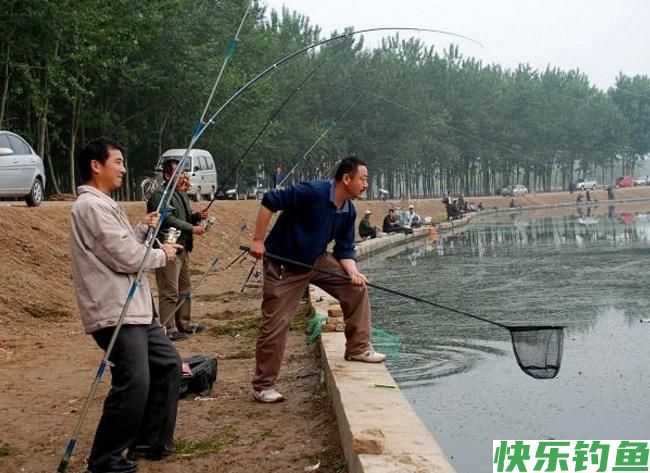 怎样垂钓鳊鱼?听听小编的介绍,绝对都是一些很实用的知识!(图3) 怎样垂钓鳊鱼?听听小编的介绍,绝对都是一些很实用的知识!(图3)