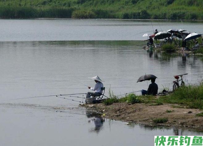 怎样垂钓鳊鱼?听听小编的介绍,绝对都是一些很实用的知识!(图5) 怎样垂钓鳊鱼?听听小编的介绍,绝对都是一些很实用的知识!(图5)