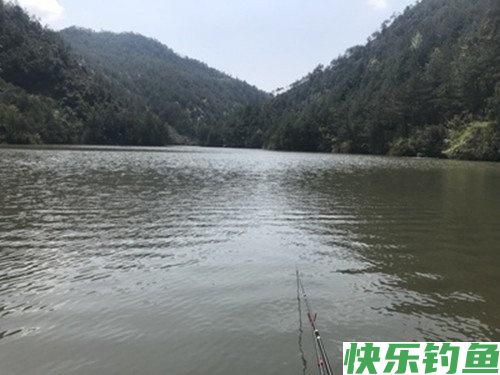 如何钓鳊鱼？怎样让鳊鱼快速上钩？有几种方法？(图3)