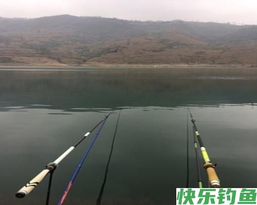 夏季野钓做好这五点，水库总能上鳊鱼，解析夏季水库野钓鳊鱼技巧(图6)