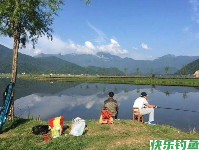 垂钓鳊鱼时,老钓手的这些小经验,钓友们不妨多了解一下(图1) 垂钓鳊鱼时,老钓手的这些小经验,钓友们不妨多了解一下(图1)