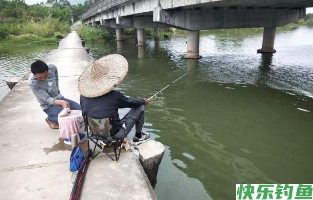初夏时节钓鳊鱼,了解鳊鱼并掌握技巧,一定可以有所收获(图1) 初夏时节钓鳊鱼,了解鳊鱼并掌握技巧,一定可以有所收获(图1)