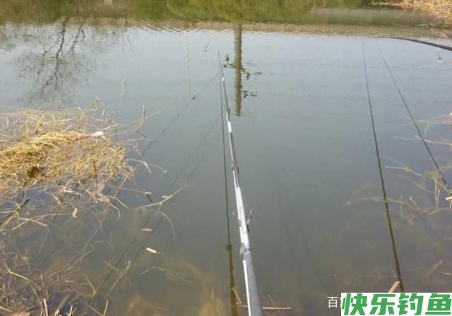 野外垂钓鳊鱼不用愁,学会这些小技巧,让你早日脱离小白的队伍(图4) 野外垂钓鳊鱼不用愁,学会这些小技巧,让你早日脱离小白的队伍(图4)