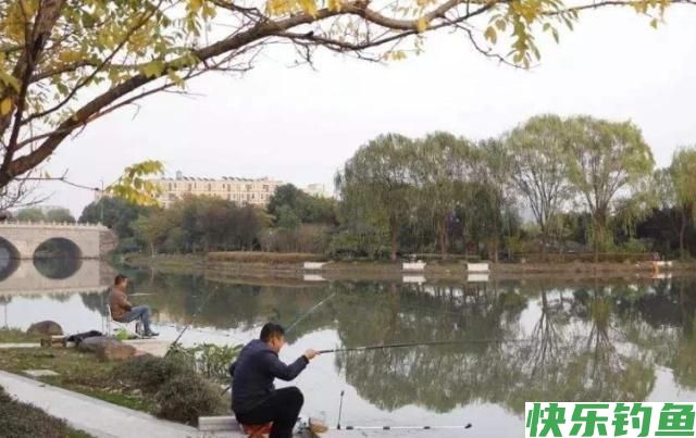 垂钓鳊鱼一定要注意这几点,学会这些,就等着爆护吧(图2) 垂钓鳊鱼一定要注意这几点,学会这些,就等着爆护吧(图2)