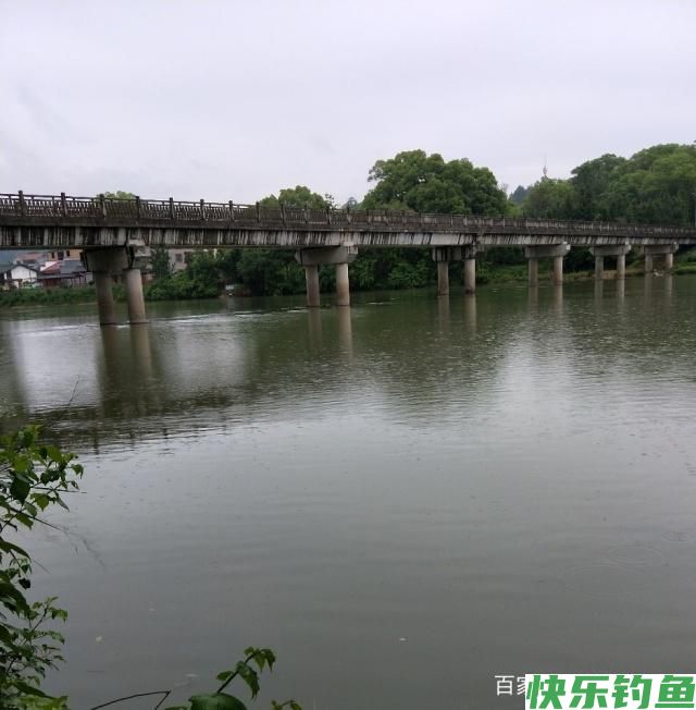 雨中江河钓鳊鱼的一些方法(图2)