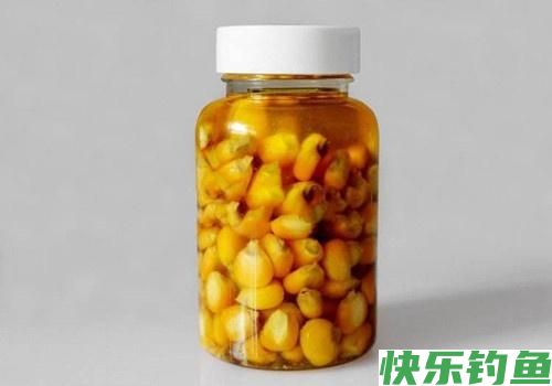 鳊鱼是我见过最好钓的鱼,一钓一箩筐!不要告诉我你还没钓过鳊鱼(图5) 鳊鱼是我见过最好钓的鱼,一钓一箩筐!不要告诉我你还没钓过鳊鱼(图5)