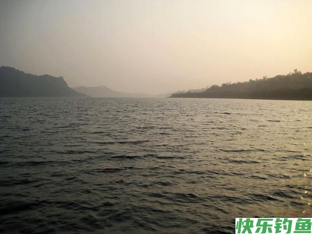 这里的鳊鱼特别好钓，钓上一条就会引来一群(图6)