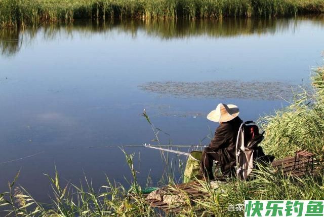 想要钓到鳊鱼,只要掌握垂钓技巧,可以轻松钓获(图4) 想要钓到鳊鱼,只要掌握垂钓技巧,可以轻松钓获(图4)