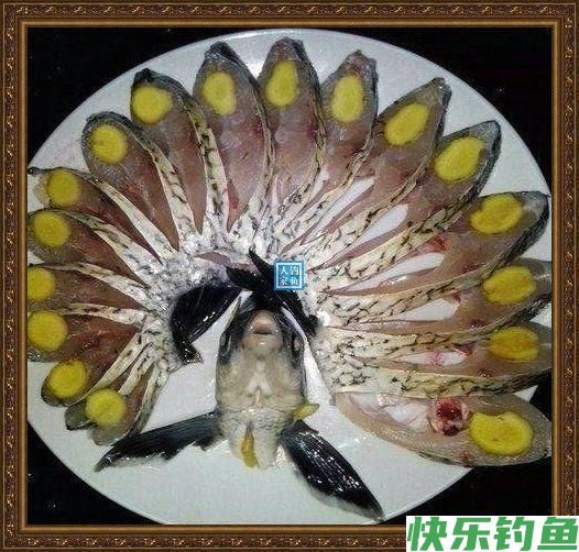 长江野钓武昌鱼,鱼味“孔雀开屏”做法,鲜美武昌鱼让人直流口水(图2) 长江野钓武昌鱼,鱼味“孔雀开屏”做法,鲜美武昌鱼让人直流口水(图2)