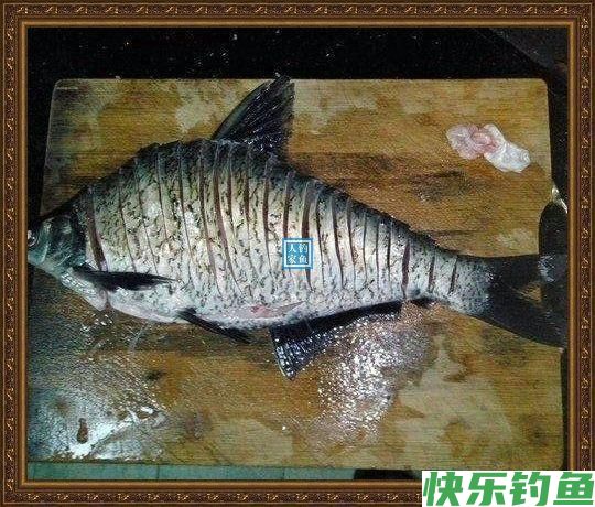 长江野钓武昌鱼,鱼味“孔雀开屏”做法,鲜美武昌鱼让人直流口水(图6) 长江野钓武昌鱼,鱼味“孔雀开屏”做法,鲜美武昌鱼让人直流口水(图6)