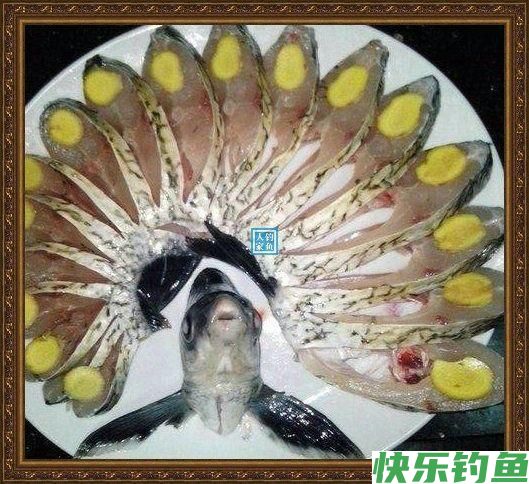 长江野钓武昌鱼,鱼味“孔雀开屏”做法,鲜美武昌鱼让人直流口水(图10) 长江野钓武昌鱼,鱼味“孔雀开屏”做法,鲜美武昌鱼让人直流口水(图10)