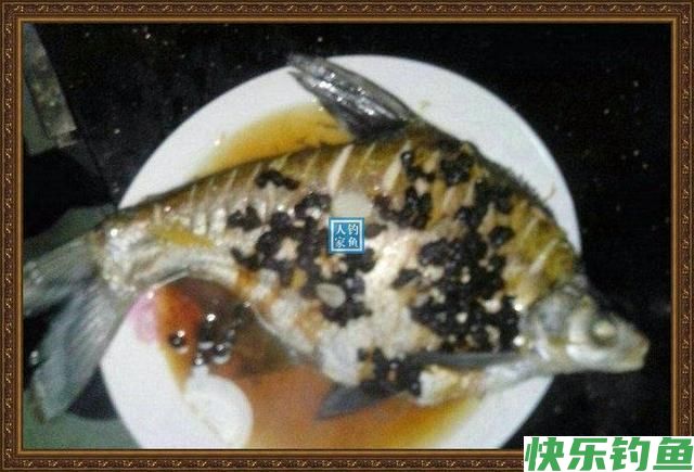 长江野钓武昌鱼,鱼味“孔雀开屏”做法,鲜美武昌鱼让人直流口水(图15) 长江野钓武昌鱼,鱼味“孔雀开屏”做法,鲜美武昌鱼让人直流口水(图15)