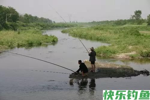 「钓鱼妙法」怎么钓鳊鱼(图2) 「钓鱼妙法」怎么钓鳊鱼(图2)