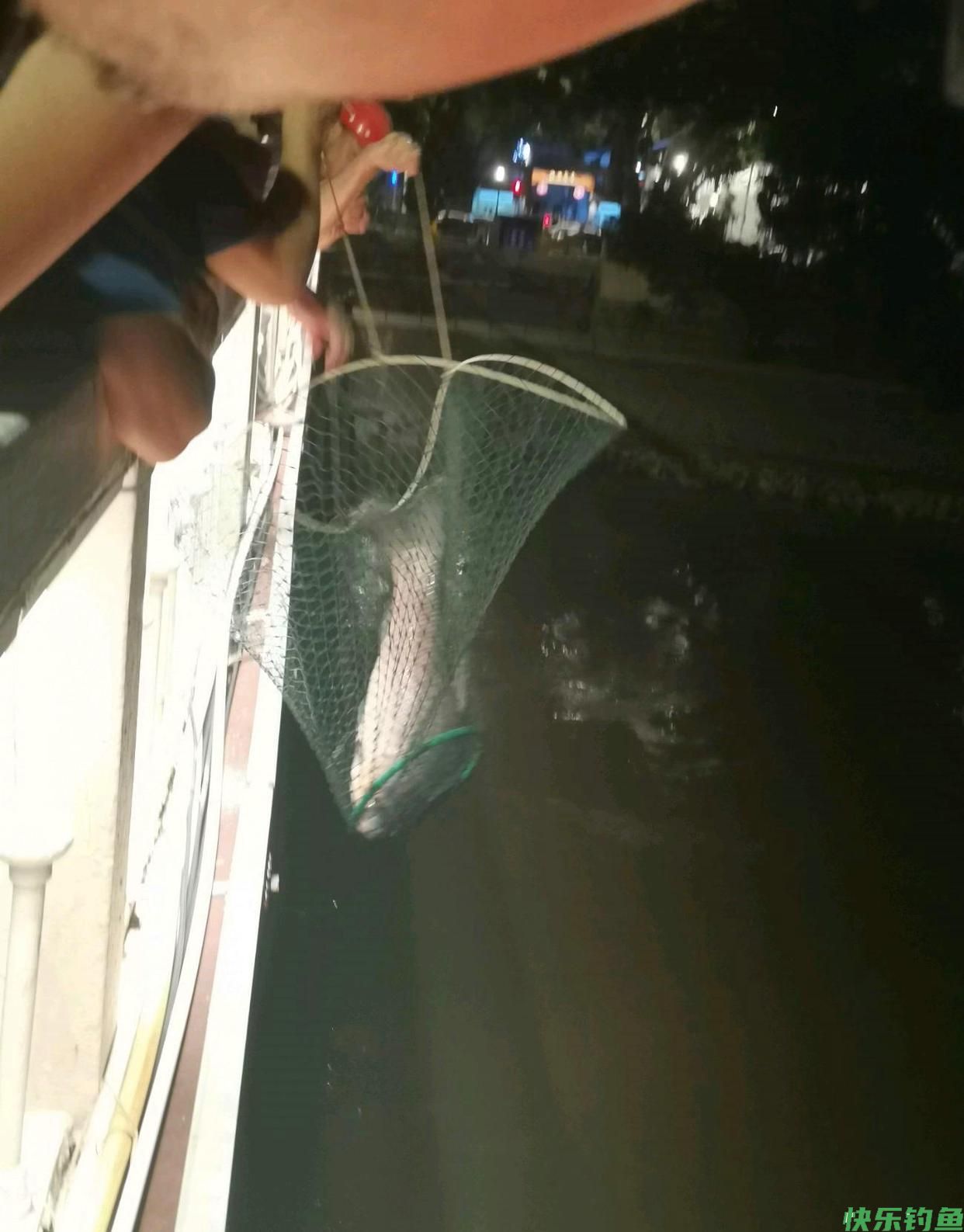 牌面！福州老伯钓鱼遭遇河道“青鱼王”，半条街的人都来看了(图3)
