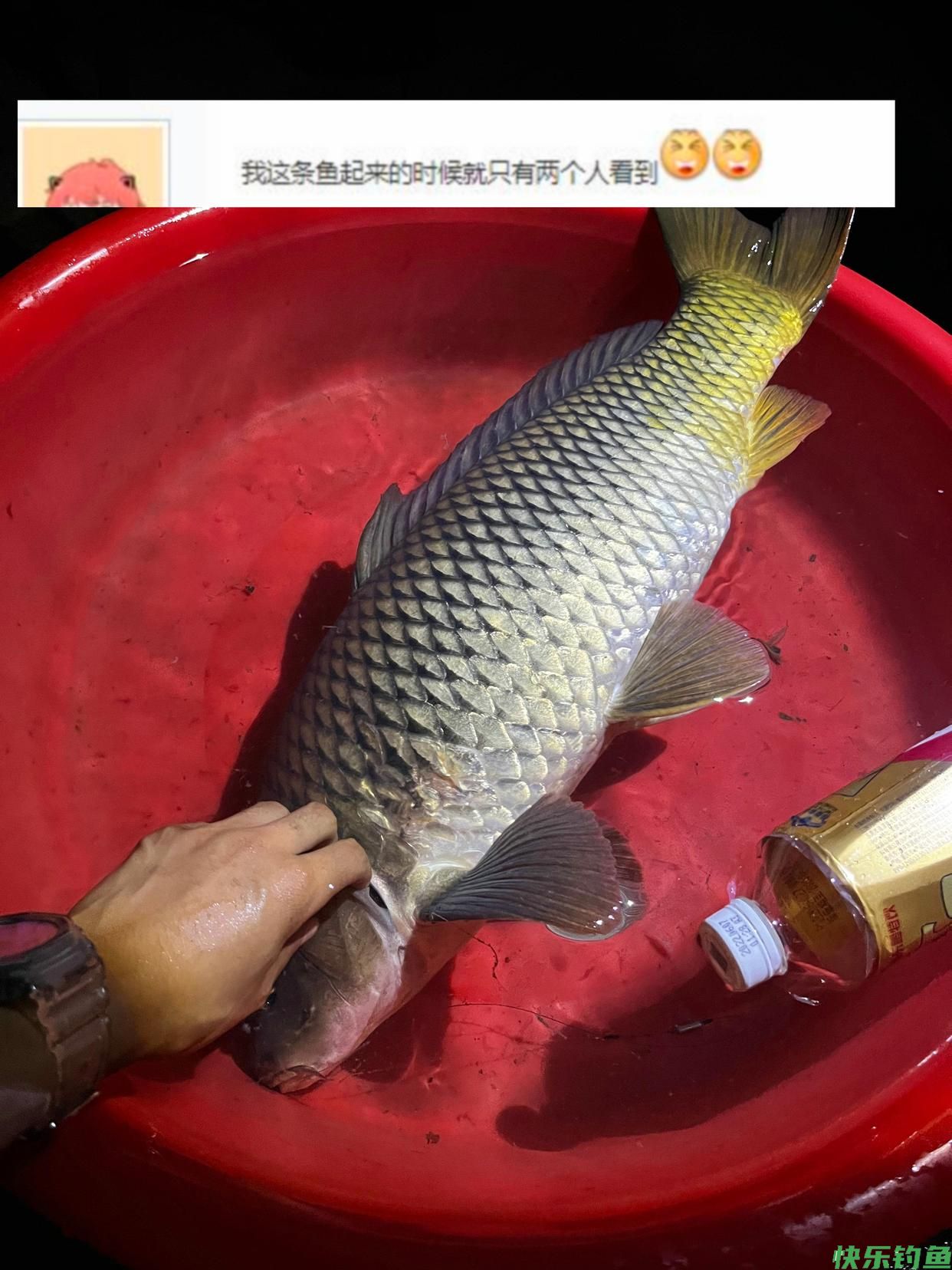 牌面！福州老伯钓鱼遭遇河道“青鱼王”，半条街的人都来看了(图7)