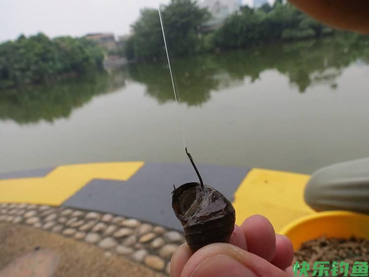 广东河道青鱼王被人钓上岸，鱼嘴里的石头价值上万？鱼石是什么？(图18)