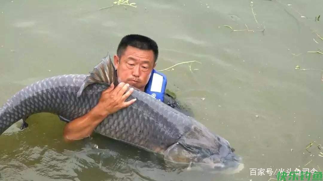 你钓的鱼最大有多大?钓鱼“世界纪录”中,这些大鱼令人难以置信(图9) 你钓的鱼最大有多大?钓鱼“世界纪录”中,这些大鱼令人难以置信(图9)
