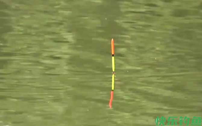 夏季钓鱼钓底还是钓浮？(图2)