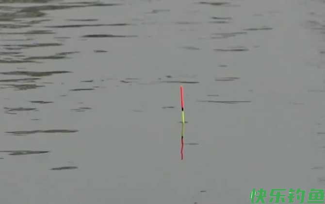 夏季钓鱼钓底还是钓浮？(图4)