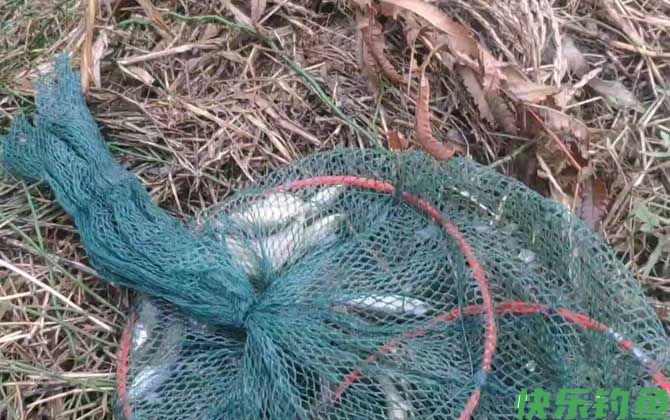 虾笼放深水还是浅水？(图1)