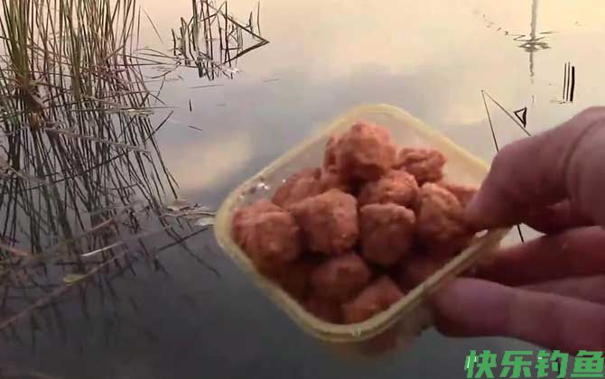 初冬钓鱼提前多长时间打窝？(图4)