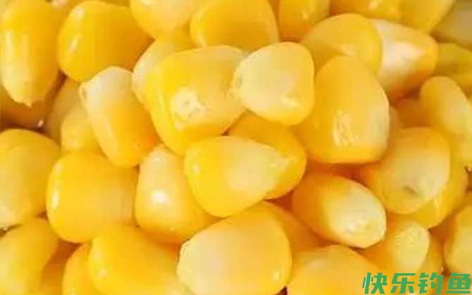 野钓嫩玉米饵料制作方法及配方(图5)