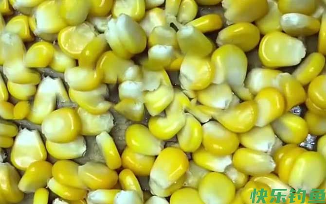 用玉米钓鱼需要打窝吗？(图4)