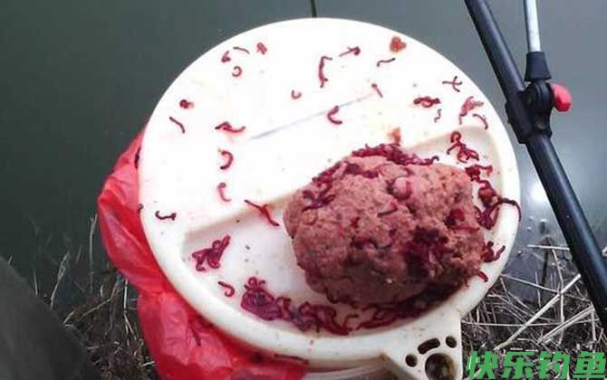 红虫钓鱼用什么打窝子？(图2)