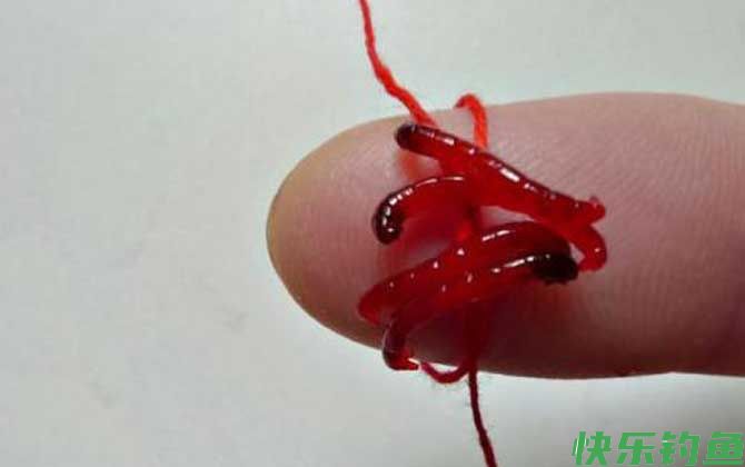 红虫钓鱼用什么打窝子？(图4)