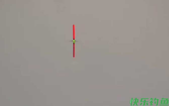 鸡肝钓鱼怎么调漂？(图4)