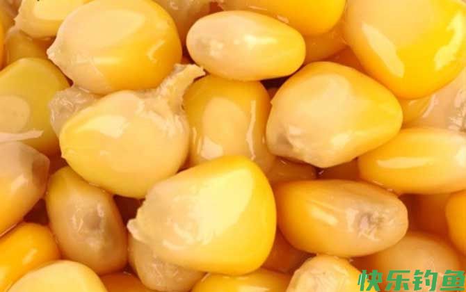 酒泡嫩玉米最佳泡制方法(图5)