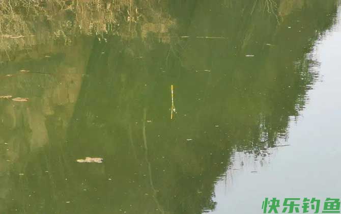 水库钓鱼怎么打窝诱鱼？