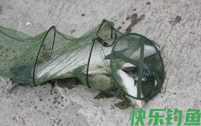 钓青鱼怎么调漂最好？