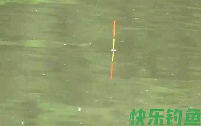 春季突然降温好钓鱼吗？(图2)
