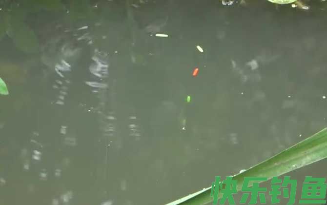 七星漂钓鲫鱼的技巧和方法(图4)