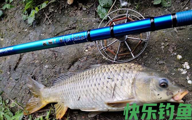 冬天钓鱼钓中间还是边上？(图3)