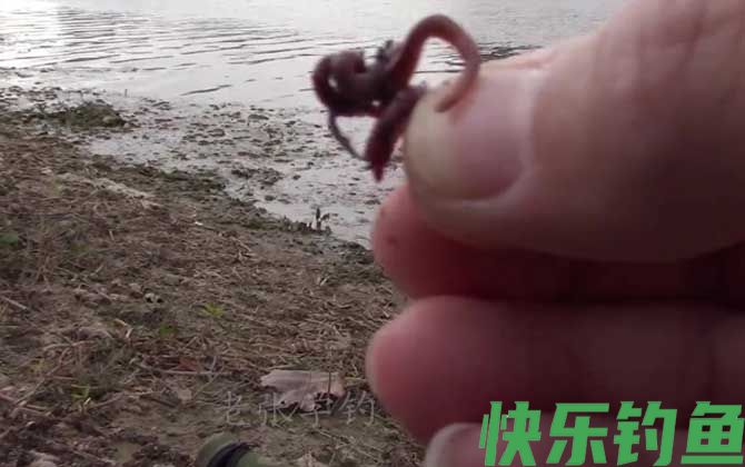 秋季钓鱼用什么味型好一点？(图2)