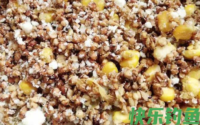 老玉米鲤鱼饵料配方大全(图2)