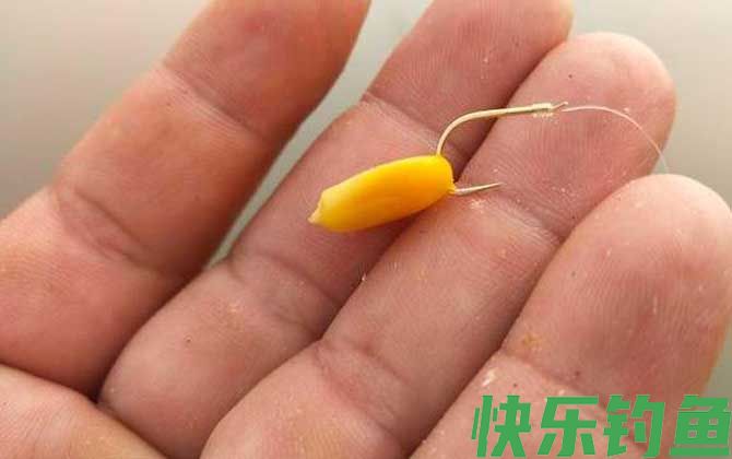 四月份用玉米粒可以钓鱼吗？(图1)