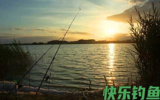 夏季水库钓鱼实用技巧(图4)