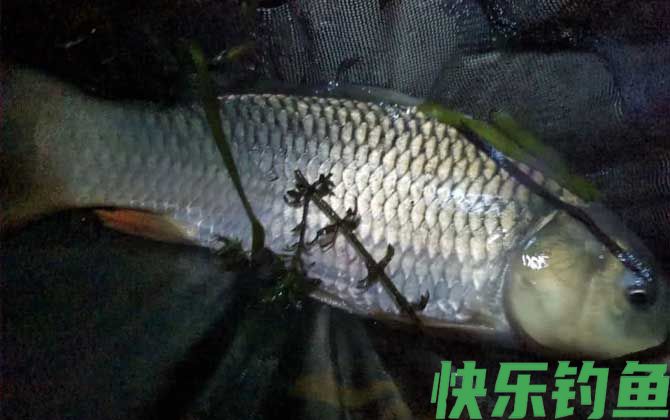 野钓技巧及方法全攻略(图2)